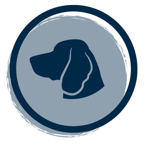 image of dog representing pet friendly amenities at South Knoxville Senior living