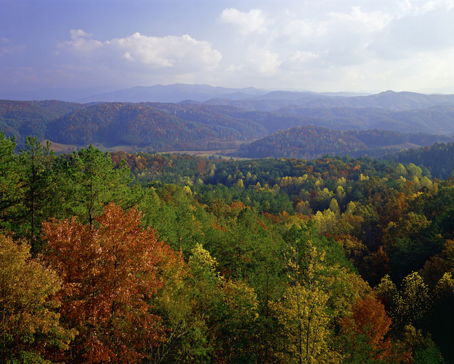 Colorful Autumn foliage of the Smoky Mountains