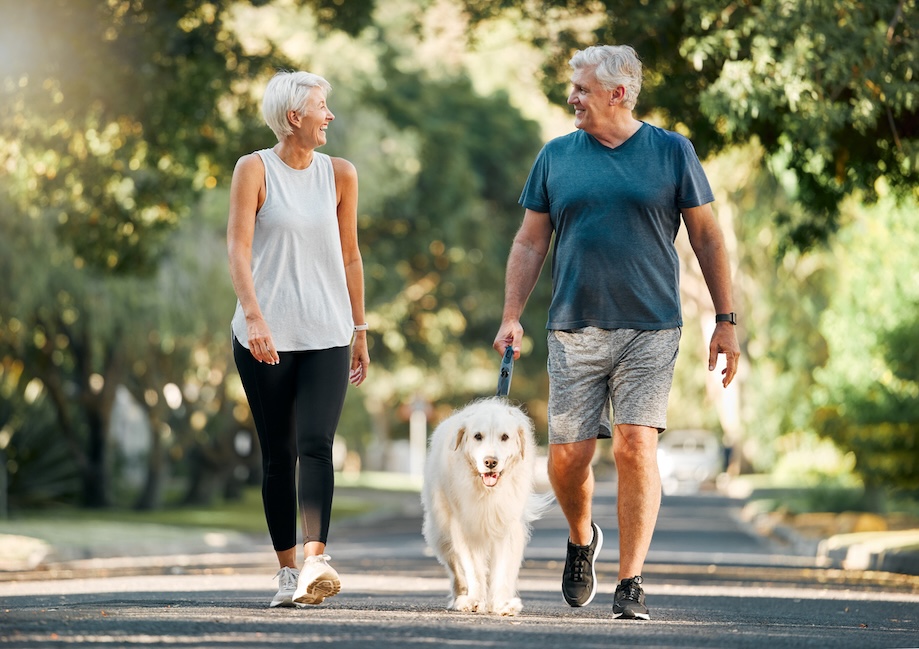 Active senior adults enjoying apartment community living in Knoxville while walking their dog on a sunny neighborhood path.