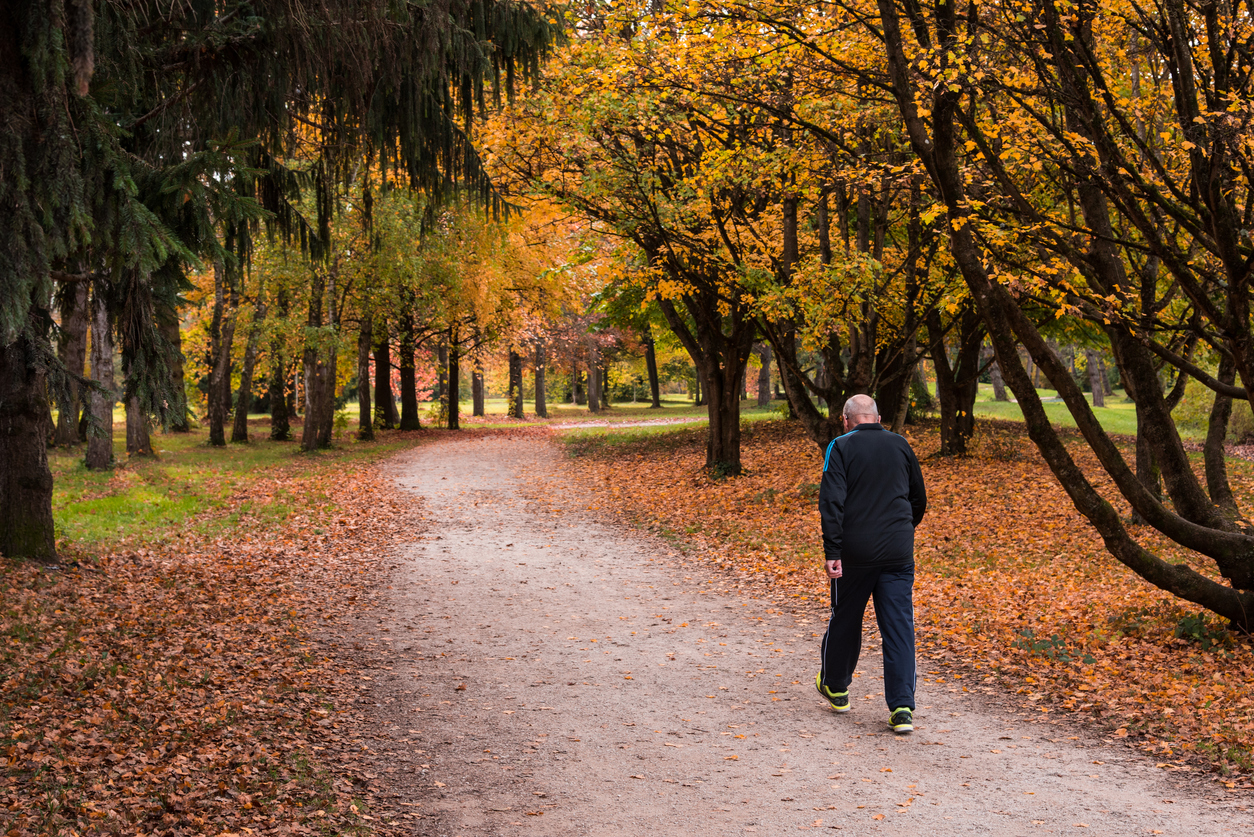 Senior adult male walking on a paved path in a Knoxville park surrounded by vibrant fall colors